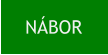 NÁBOR