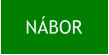 NÁBOR